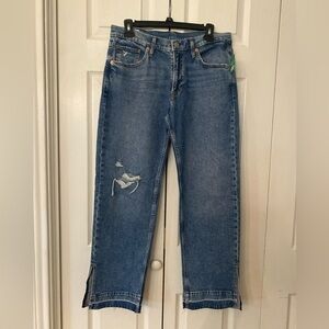 GAP 90’s Loose Mid Rise Jeans 6P
